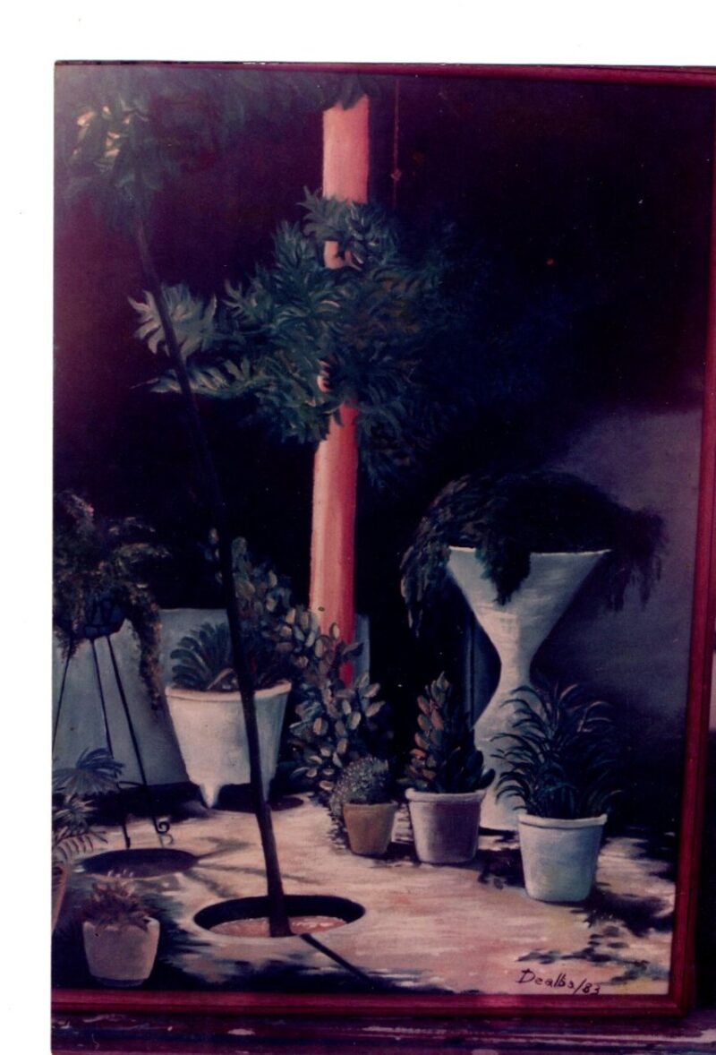 Esquina del Jardin del Patio