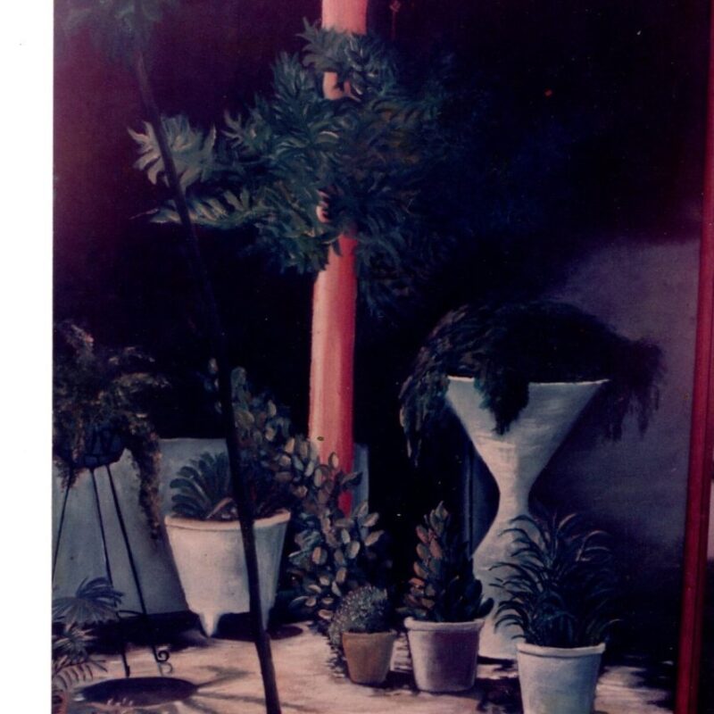 Esquina del Jardin del Patio
