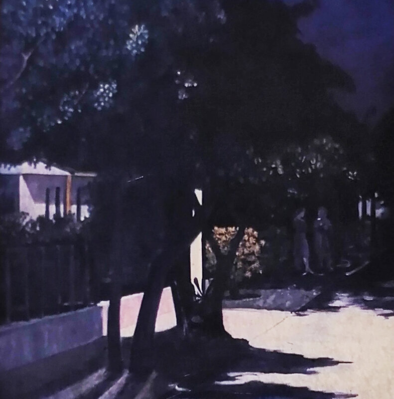 Mujeres entre Luz y Sombra